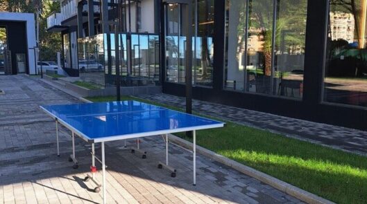 Настольный теннис